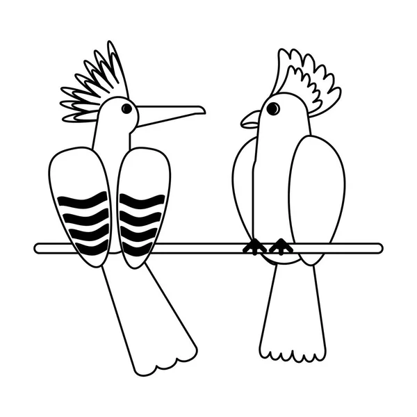 Exotic birds cartoons in black and white — Stock Vector