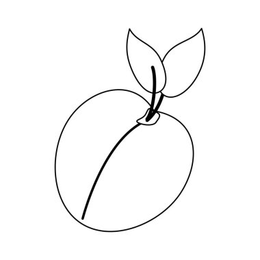 Siyah ve beyaz şeftali meyve taze yiyecek