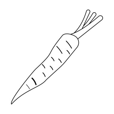 Havuç sebze taze gıda siyah beyaz