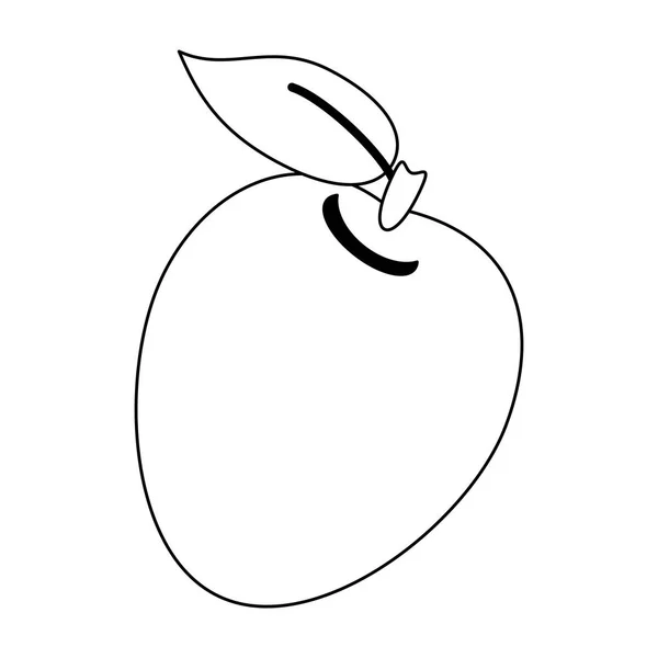Μήλο φρούτα φρέσκα τρόφιμα σε μαύρο και άσπρο — Διανυσματικό Αρχείο