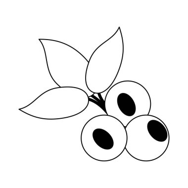 yaban mersini meyve taze gıda siyah beyaz