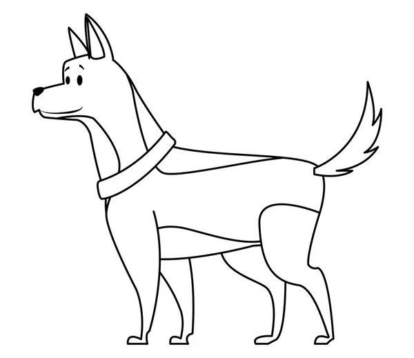 Hund mit Halsband — Stockvektor