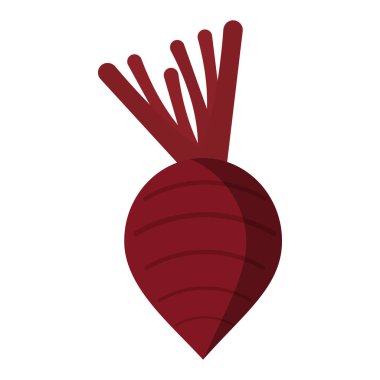 Turp sebze taze yiyecek