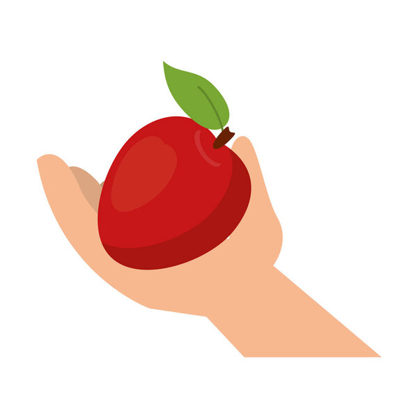 hand holding tomato