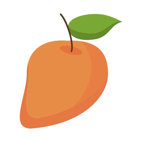 Mango fruta alimentos frescos — Vector de stock