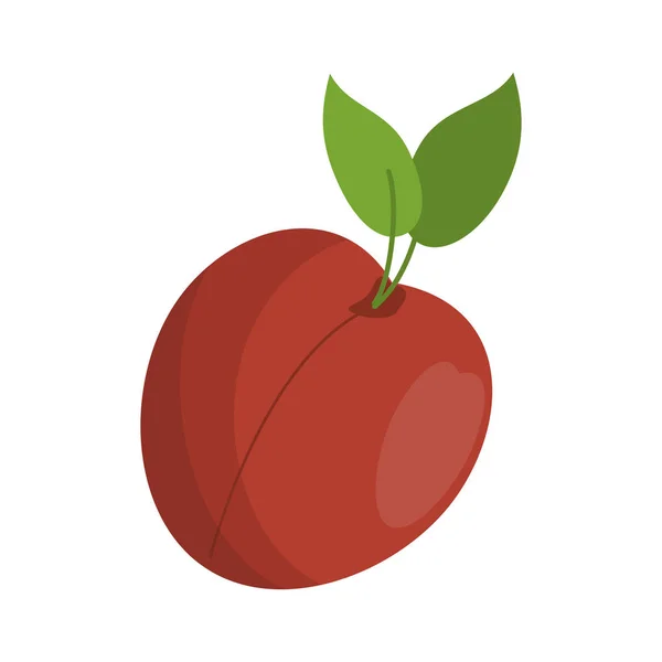 Pfirsich Früchte frische Lebensmittel — Stockvektor