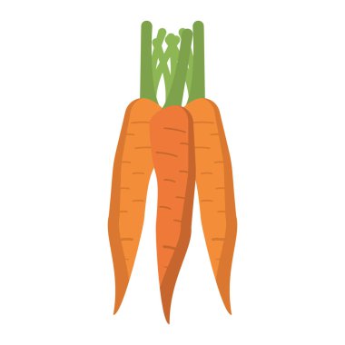 Havuç sebze gıda izole