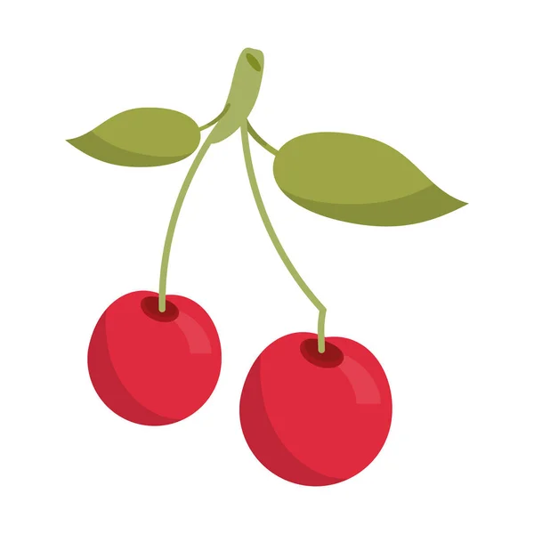 Fruta de la cereza alimentos frescos — Archivo Imágenes Vectoriales