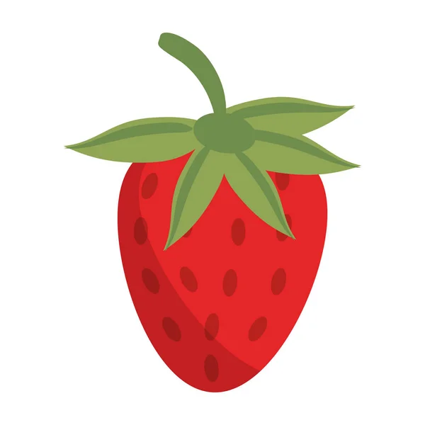 Erdbeere Früchte frische Lebensmittel — Stockvektor