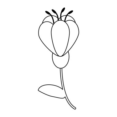 Güzel çiçek çizgi film siyah ve beyaz izole