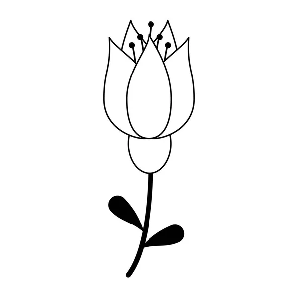 Vacker blomma tecknad isolerad svart och vitt — Stock vektor