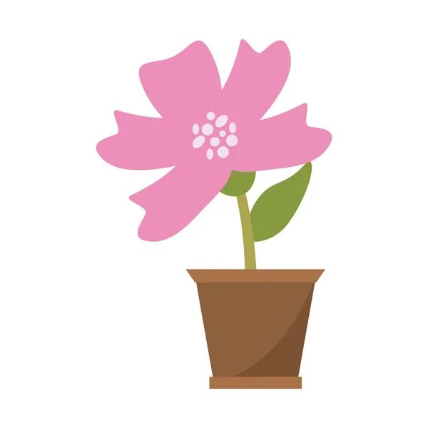 Λουλούδι στο δοχείο κηπουρική κινουμένων σχεδίων — Διανυσματικό Αρχείο