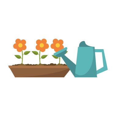 Bahçe Bitkileri ve araçları