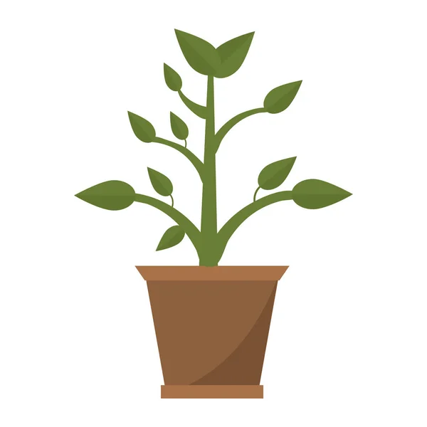 Planta en dibujos animados olla — Vector de stock