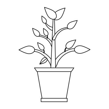 Pot çizgi film siyah ve beyaz bitki