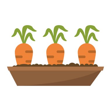 havuç hasat sebzeler çizgi film