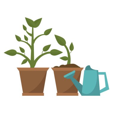 Bahçe Bitkileri ve araçları