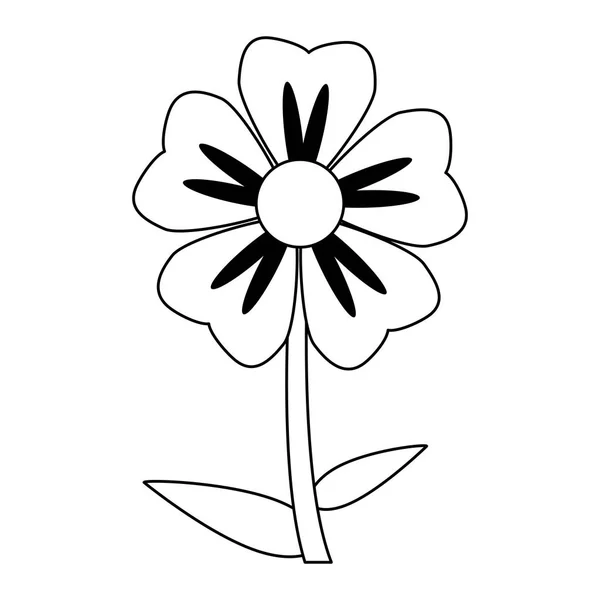 Piękny kwiat kreskówka na białym tle czarno-białe — Wektor stockowy
