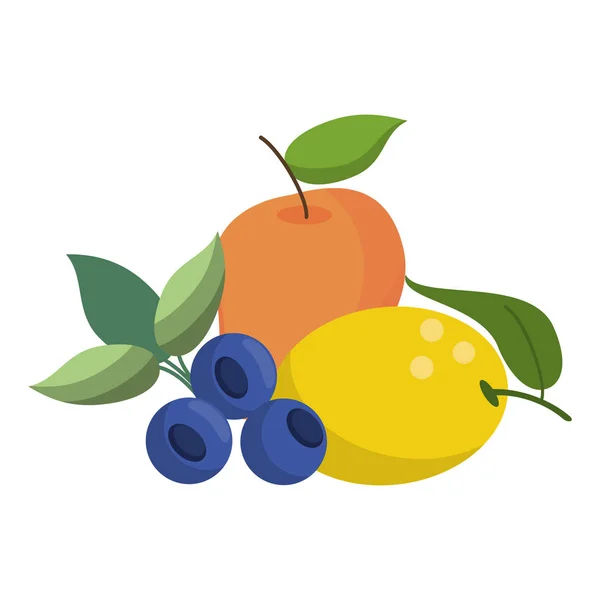 Früchte gesunde und frische Lebensmittel — Stockvektor