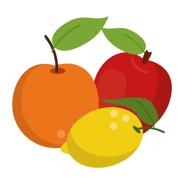 Früchte gesunde und frische Lebensmittel — Stockvektor