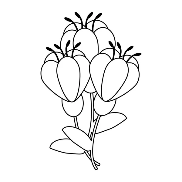 Belles fleurs dessin animé isolé noir et blanc — Image vectorielle