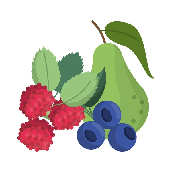 Frutas alimentos sanos y frescos — Vector de stock