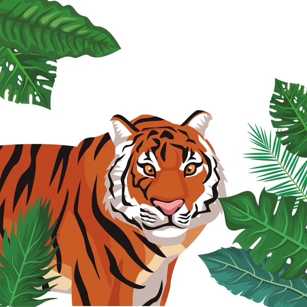 Wild tiger cartoon — Stock Vector