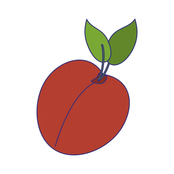 Персиковые фрукты — стоковый вектор