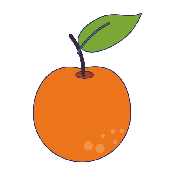 Pomarańczowy owoc świeżej żywności niebieskie linie — Wektor stockowy