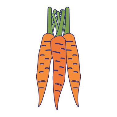 Havuç sebze gıda izole mavi çizgiler