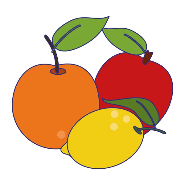 Früchte gesunde und frische Lebensmittel blaue Linien — Stockvektor