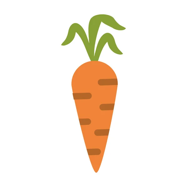 Zanahoria alimentos vegetales — Vector de stock