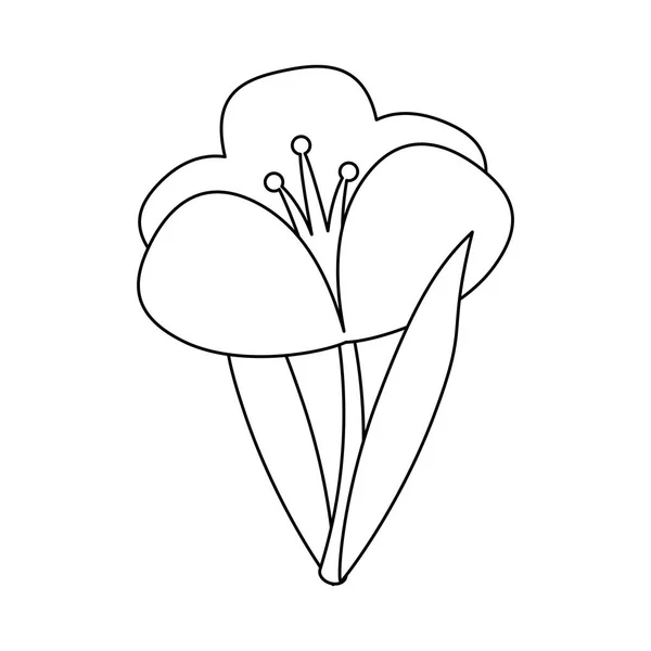 Siyah-beyaz izole güzel çiçek çizgi film — Stok Vektör