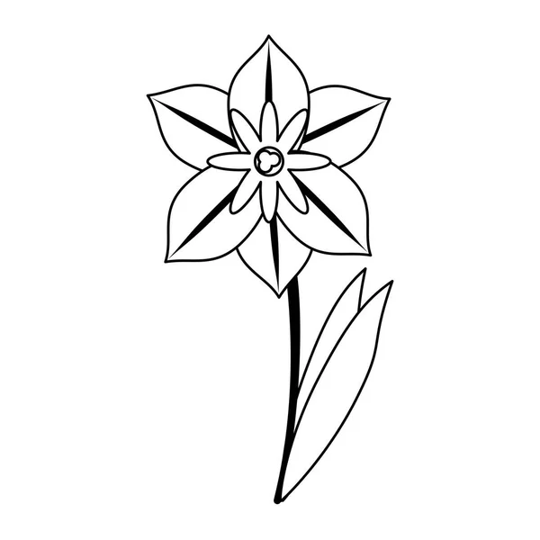Schöne Blume Karikatur isoliert in schwarz und weiß — Stockvektor
