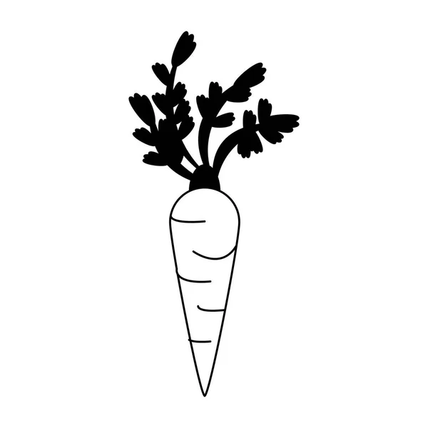 Zanahoria verdura fresca en blanco y negro — Vector de stock