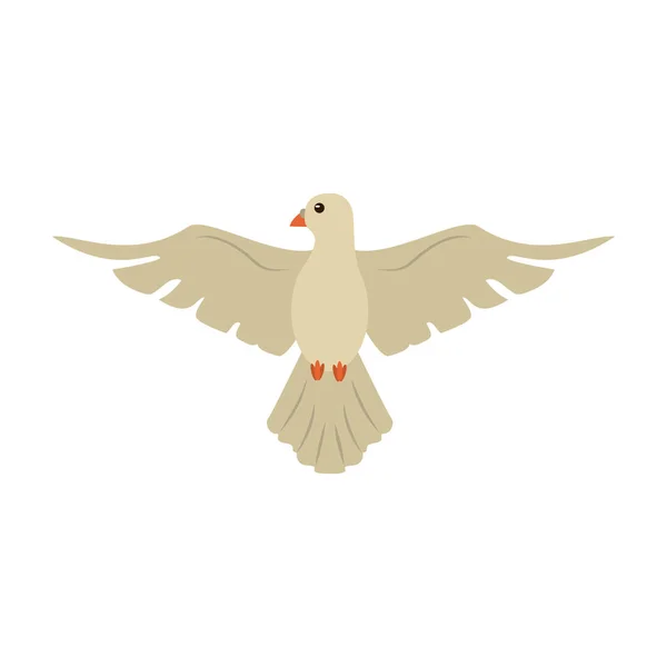 비둘기 평화 새 만화 — 스톡 벡터