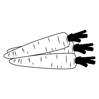 Havuç taze sebze siyah beyaz