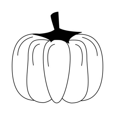 Siyah beyaz kabak taze sebze