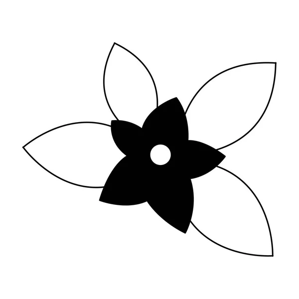 Vackra blommor tecknad i svart och vitt — Stock vektor
