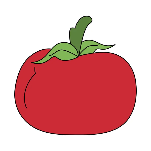 Tomate vegetal fresco — Vector de stock