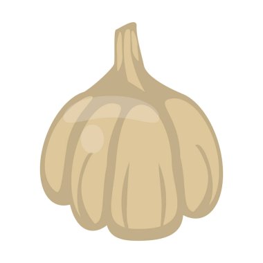 Sarımsak taze sebze izole