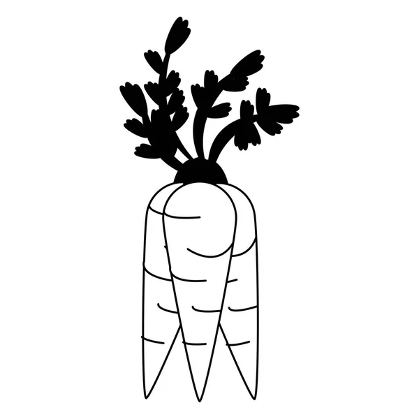 Mrkev čerstvá zelenina v černé a bílé — Stockový vektor