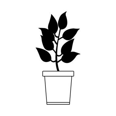 Siyah-beyaz izole pot bitki