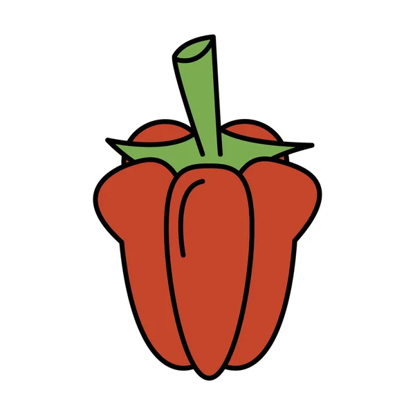 Pepper fresh vegetable — Stock Vector