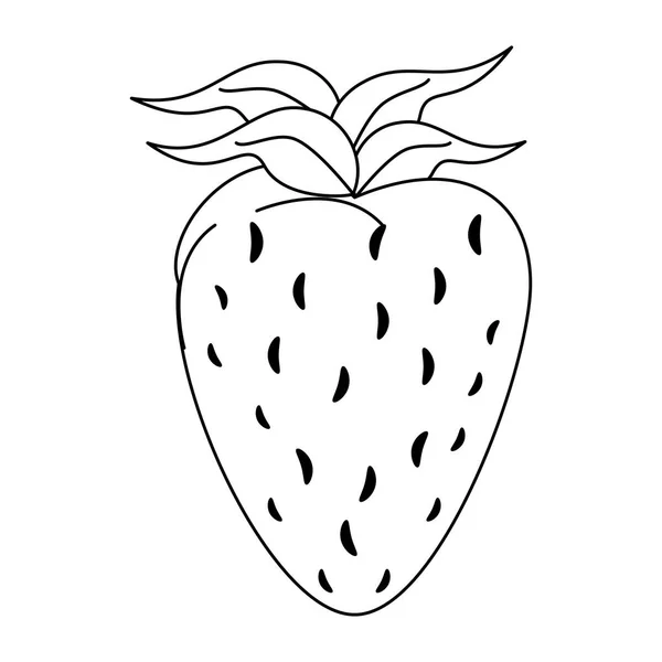 Erdbeere natürliche Früchte in schwarz und weiß — Stockvektor