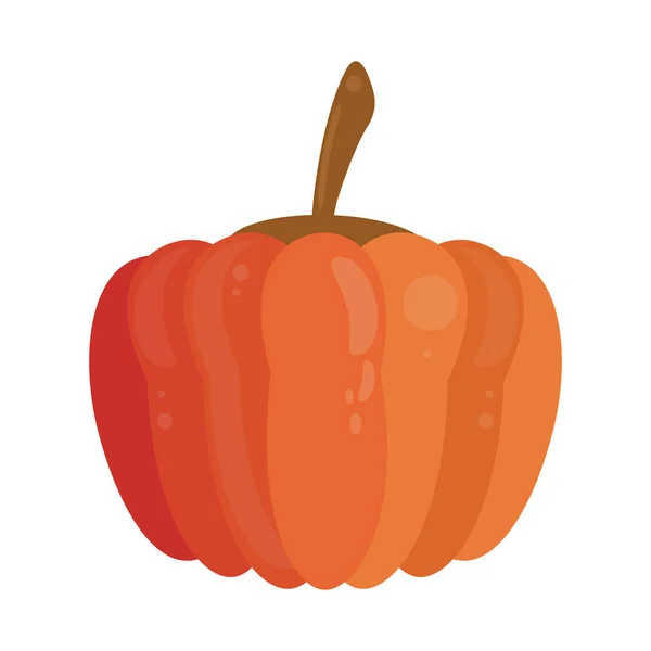 Pumpkin fresh vegetable food — Stock Vector