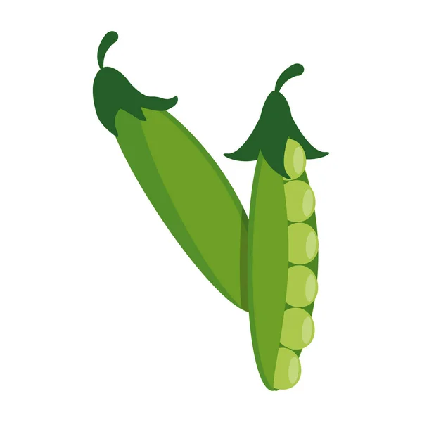 Peas fresh vegetables cartoon — Stock Vector