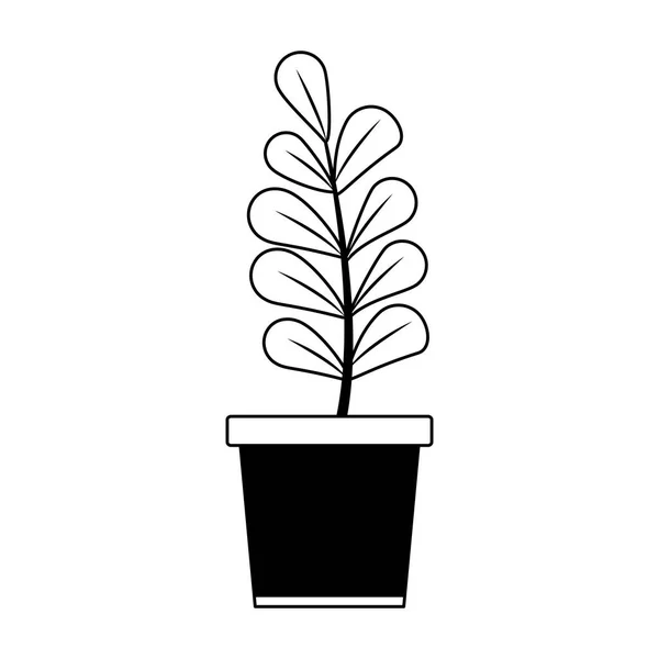 Plant in pot isolated in black and white — Stock Vector
