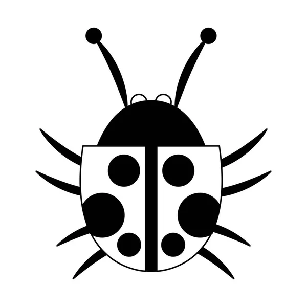 Coccinelle isolé symbole en noir et blanc — Image vectorielle