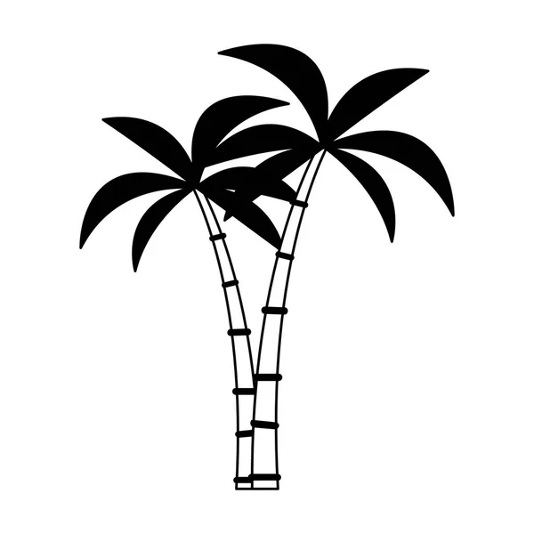 Palmen boom geïsoleerd in zwart-wit — Stockvector